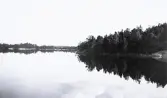 Landskap med en sjö och en skog, där trädens reflektion syns tydligt i vattnet, 1924.
