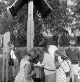 År 1960 på våren är Klass 5 från Österängsskolan i Jönköping på skolresa i Västergötland tillsammans med sin lärare Göte Ohlsson. I Varnhem gör man ett besök.
På Österängsskolan var det tradition att man i 4:an åkte till Vadstena och Omberg, i 5:an till Västergötland (Falbygden, Skara, Varnhem) och i 6:an en resa till glasbruk i Småland.