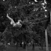 År 1960 på våren är Klass 5 från Österängsskolan i Jönköping på skolresa i Västergötland tillsammans med sin lärare Göte Ohlsson. Eleven Göran Sandstedt gungar högt på lekplatsen.
På Österängsskolan var det tradition att man i 4:an åkte till Vadstena och Omberg, i 5:an till Västergötland (Falbygden, Skara, Varnhem) och i 6:an en resa till glasbruk i Småland.