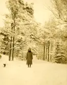 Vinterbild. Kvinna fotograferad bland snötyngda träd på Påskberget (Påskberget friluftsområde).