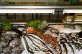 Fiskaffären i Mölndals centrum den 10 maj 1991. Närbild på fiskar i fiskdisken.