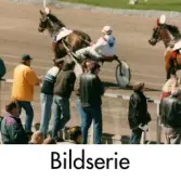 Serie om sex fotografier som visar Åbytravet i Åby, Mölndal, under travloppet Drottning Silvias Pokal, söndagen den 3 maj 1997.