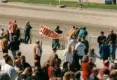 Publik som följer lopp på Åbytravet i Åby, Mölndal, under travloppet Drottning Silvias Pokal, söndagen den 3 maj 1997.