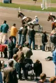 Publik som följer lopp på Åbytravet i Åby, Mölndal, under travloppet Drottning Silvias Pokal, söndagen den 3 maj 1997.