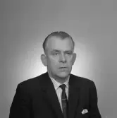 Gunnar Borg