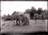 Nårunga. Skördearbete. Drängen Algot Leandersson till höger.
