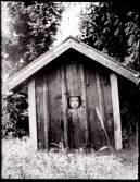 Nårunga. Ebbe kikar ut ur lekstugan