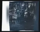 Ett stort sällskap fikar vid ett bord, utomhus bland tallar.