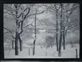 Vy från familjen Morthensens villa Solveden, Djursholm.