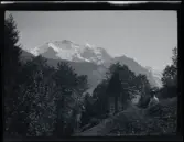 
Fotografier tagna under en resa Elin och Leonarth gör 1907 till Schweiz, med tåg via Danmark och Tyskland. Platser som besöks på resan är bl.a. Lauterbrunnen, Luzern och Bern.