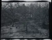 Vy över tomten till familjen Morthensens villa Solveden, Djursholm.