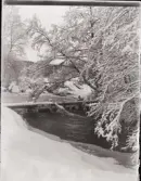 Nårunga. Ovanför bron vid Prästakvarn