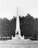 Gustav II Adolfsmonumentet på Rådhustorget i Söderhamn. Foto cirka år 1900.