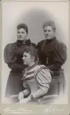 Porträtt av tre unga kvinnor. Gerda Broman, Anna P.son(Pettersson), Gertrud Nicklasson (enligt text i album).