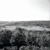 Vy från Sagåsberget över Vommedal och Livered 1940-tal. Till vänster ses Vommedals by och Brattås.