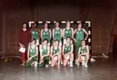 Lagbild av Kvarnby Baskets A-lag herrar. Idrotthuset i Mölndal, mars 1984.