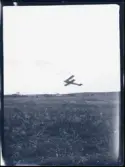 Ett flygplan, s.k. biplan, flyger över ett fält.