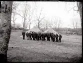 Militärer framför tält