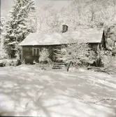 Fotografens stuga i vinterskrud. Här bodde han, Erik Andersson, i skogen ovanför Järlövs gård i Veddige hela sitt liv utan el eller andra bekvämligheter. Han föredrog ett enkelt liv, nära naturen.