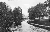 Söderhamnsån, nedströms kvarnen. Foto i början av 1900-talet.