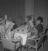 Anders Rapps 40-årsdag