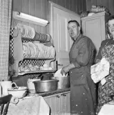 Diskning. Mannen diskar en assiett och kvinnan torkar en kopp