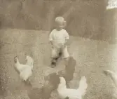 En liten pojke på en gårdsplan med några höns.