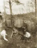 Några kvinnor är ute och plockar vitsippor en solig vårdag. I bakgrunden syns en sjö.