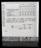 Tabeller över grisproduktion.. Dir. Celsing.
Ur Gustaf Åhmans samling.