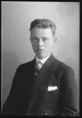Porträtt. Allan Dahlström, Norrgården, Hallstahammar.
Ur Gustaf Åhmans bildarkiv.