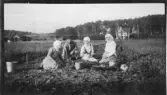Potatisupptagning vid Kärret nedanför Norra Kyrkvägen i Kållered, okänt åtal. Från vänster: 1. Amandus dotter. 2. Amandus Andersson (från Norra Kyrkvägen 3 i Kyrkbacken). 3. Amandus dotter. 4. Amandus hustru Christina. (En av döttrarna hette Anna Maria, född 1897.) I bakgrunden till vänster ses gården Hagen. Till höger ses Fridelund på Gamla riksvägen 58.