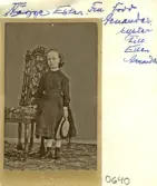 Ester Arnander