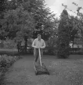 Alf Blockings bror klipper gräset