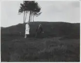 Västra Tunhem. Kungshögen vid Hol