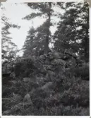 Bronsåldersröse vid Hunneberg ovan Västra Tunhems prästgård