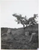 Västra Tunhem. Stensättning delvis i skeppsform