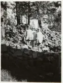 Västra försvarsvallen i Storegårdsklev på Halleberg. Nedre tvärvallen