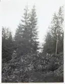 Västra försvarsvallen i Storegårdsklev på Halleberg. Nedre tvärvallen