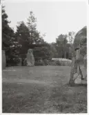 Västra Tunhem. Hästevadet, Hästevads stenar