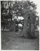 Västra Tunhem. Hästevadet, Hästevads stenar