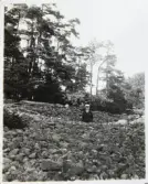 Vänersnäs, Grytet, gravfält