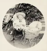 En liten flicka med en docka och en dockbarnvagn.
Margareta Bergstedt, trol. i trädgården utanför hemmet på Kanalgatan (kv. Nordstjärnan I, Linnégatan) i Växjö.