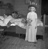 Flicka lussar på luciamorgonen