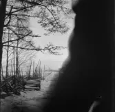 Från Anderstorp mot Gustens hage