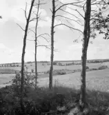 Vid Stora Spännefalla