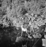 Eskil och Wall vittjar