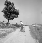 Kurt cyklar uppför Bommabacken