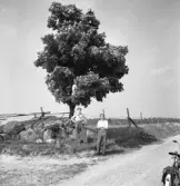 Folke och Kurt vid Bommabacken