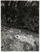 Vänersnäs. Offersten nära Eriksdals skola