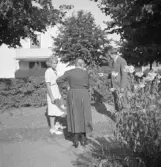 Mor, Eleisa och Olle